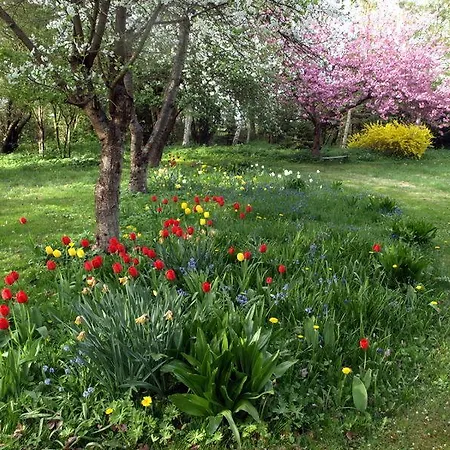 Praestegaardens Frühstückspension Dannemare