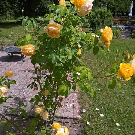 Praestegaardens * Dannemare